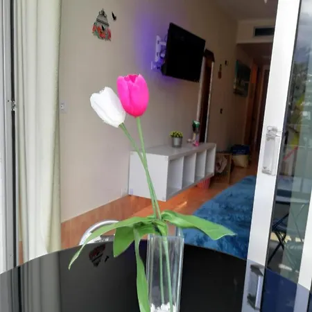 Apartmán 4 Estrellas, Piscina, Bar, Animacion, 24h